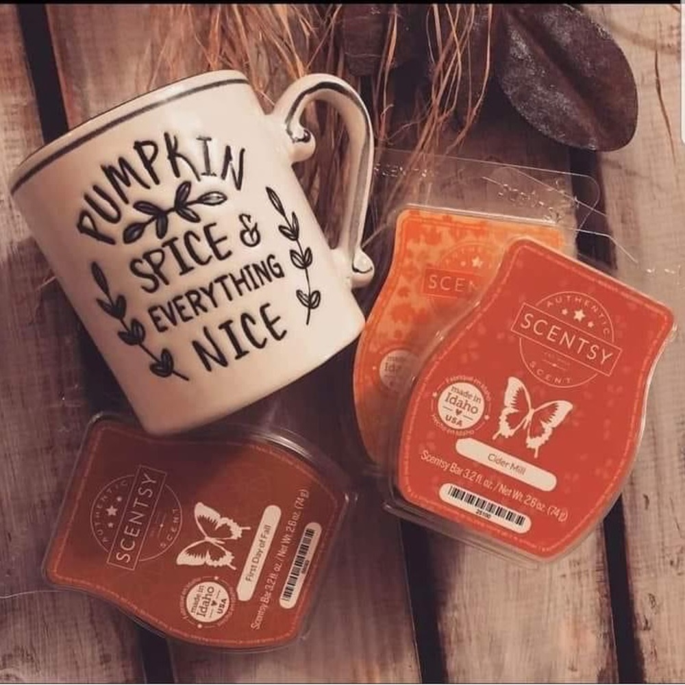 Scentsy fun fall themed mystery bag! This will have new scents and fan favorites - Picture 1 of 6